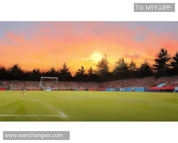 从绿茵场到银幕上足球明星的华丽转身与人生新篇