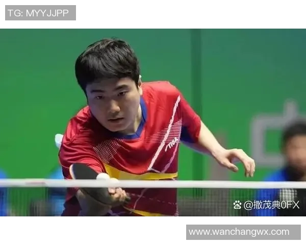 乒乓球比赛经验排行榜揭晓北京乒乓球队荣获第六名殊荣