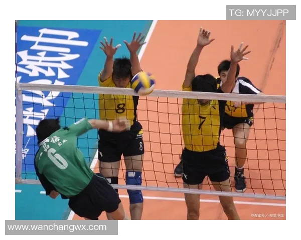 杭州排球队心理素质提升之路：热议排球背后的心灵变革与团队协作